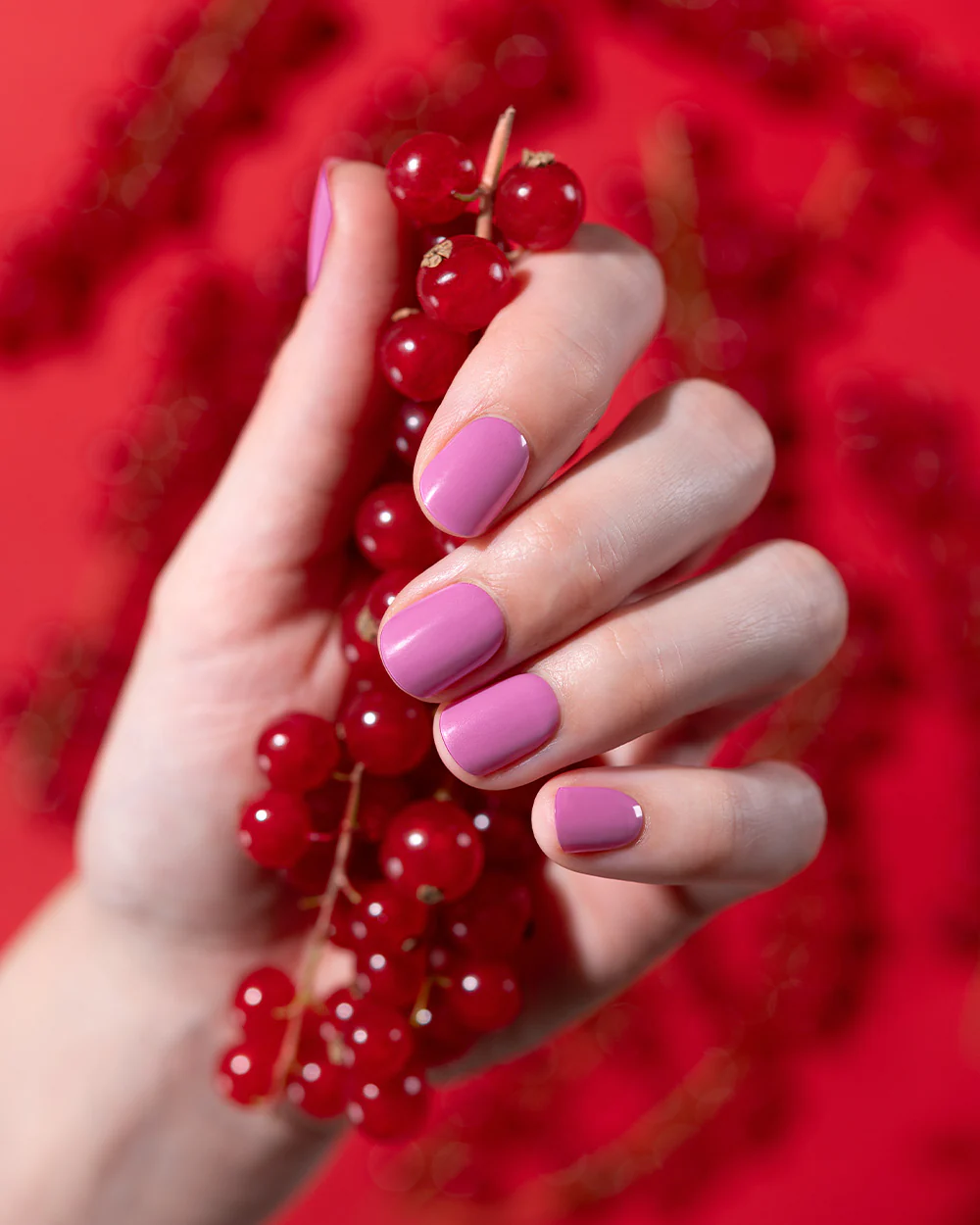 Berry Bliss UV - Image 4