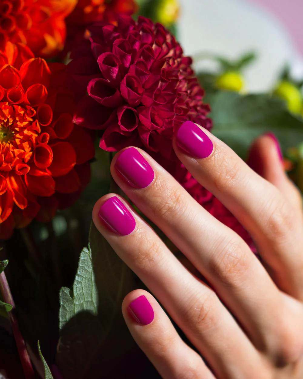 Electric Dahlia UV - Image 3