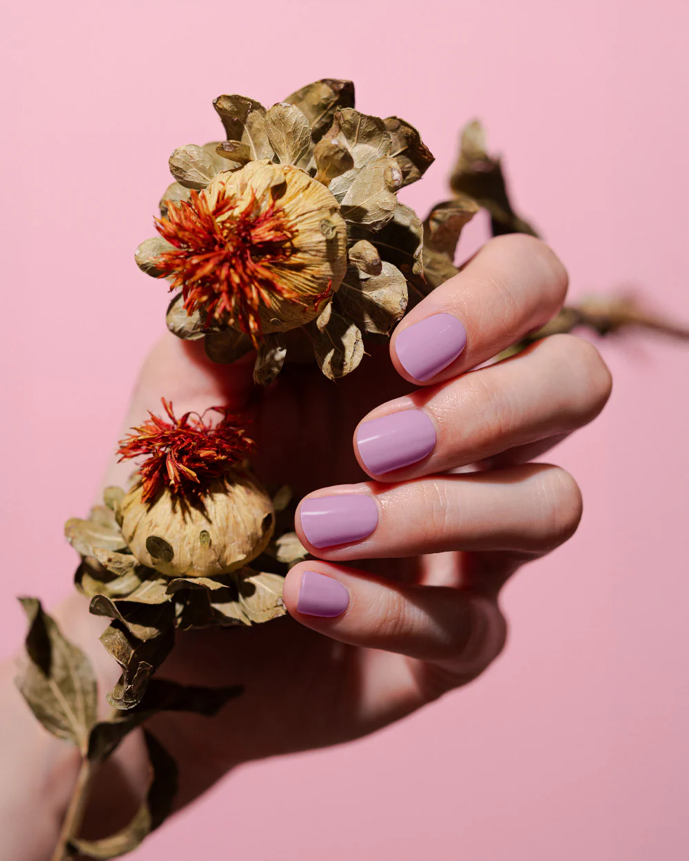 Mauve Me UV - Image 4