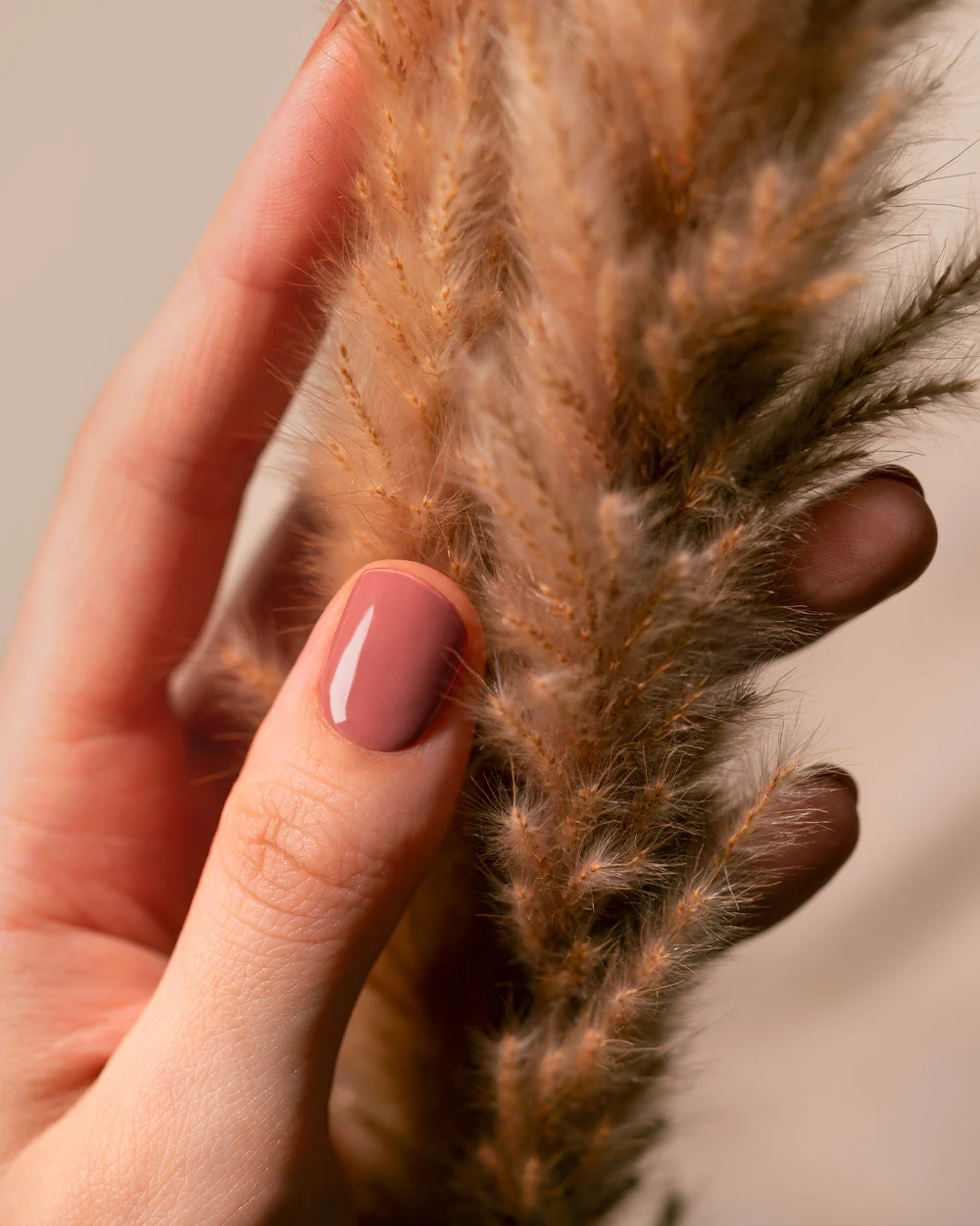 Warm Clay UV - Image 4